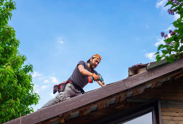 Best Roof Leak Repair  in Johnston City, IL