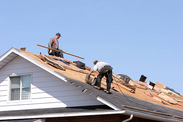 Best Flat Roofing  in Johnston City, IL