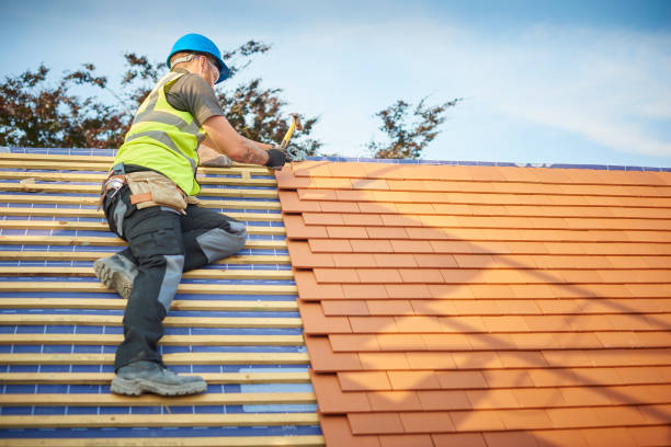 Best Gutter Installation and Repair  in Johnston City, IL